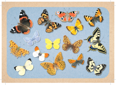 Kiquimank ? Papillons