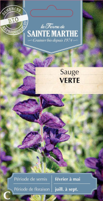 Graines Bio Sauge Verte