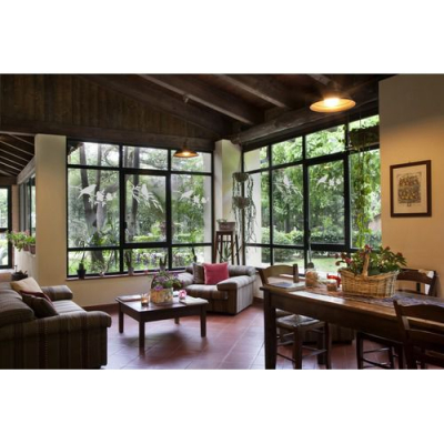 Grand sticker anticollision - Oiseaux sur branches d'olivier