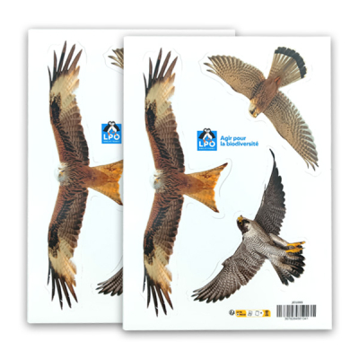 Stickers LPO anticollisions Faucons & Cie - 2 planches