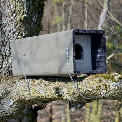 Nichoir Schwegler 1WK Chouette Hulotte