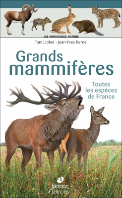 Grand mammifères - Les Miniguides Nature
