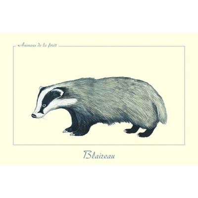 Carte Postale simple 10 X 15 cm Blaireau