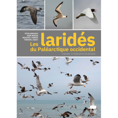 Les laridés du paléarctique occidental