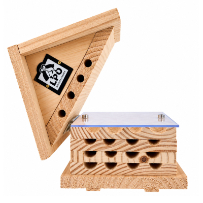 Ruche interactive LPO pour abeilles