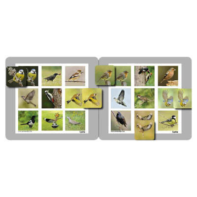 Memolo XL - 12 oiseaux des jardins