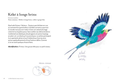 Le Petit Guide des oiseaux à la con 