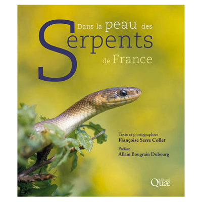 Dans la peau des serpents de France