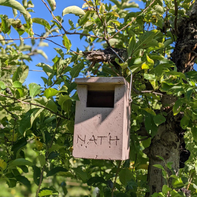 Nichoir à rougequeue semi-ouvert en béton de bois