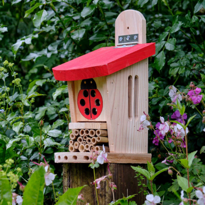 Tour à coccinelles interactive