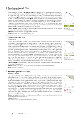Guide expert des oiseaux de Guyane
