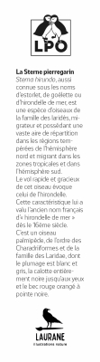 Marque-page LPO Collection littoral Sterne pierregarin