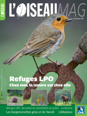 L'oiseau Mag n° 142