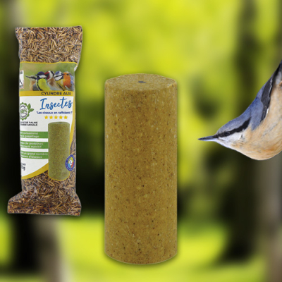 Cylindre géant aux insectes