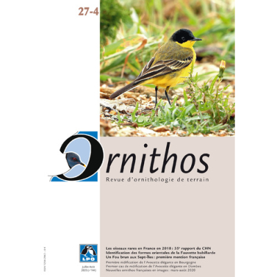 Ornithos N°27/4, Juillet-Août 2020