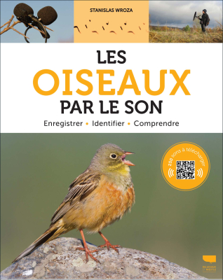 Les oiseaux par le son
