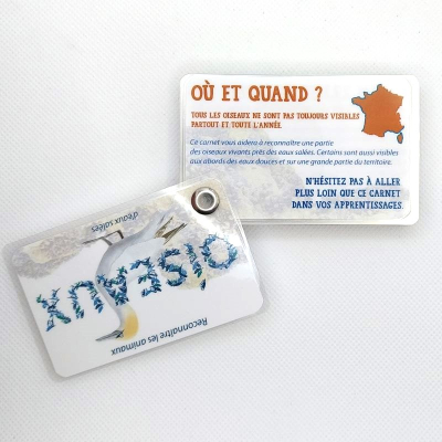 Guide de reconnaissance de la faune et de la flore - Les oiseaux de rivages