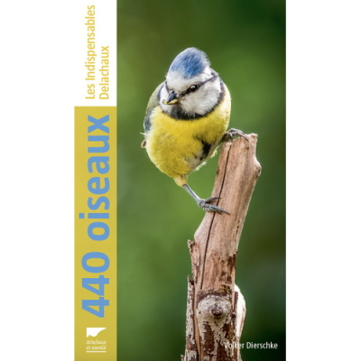 440 Oiseaux