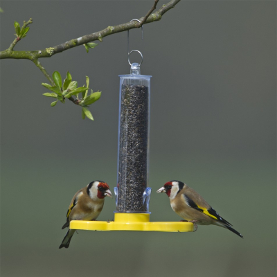 Petite mangeoire graines de Niger