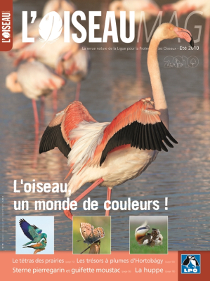 L'Oiseau Mag n° 99