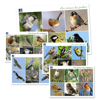 Cartes postales Oiseaux de chez nous