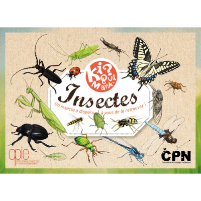 Kiquimank ? Insectes