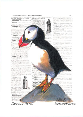 Carte postale collection d'art - Macareux moine