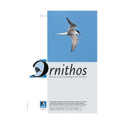 Ornithos N°18/4, Juillet-Août 2011