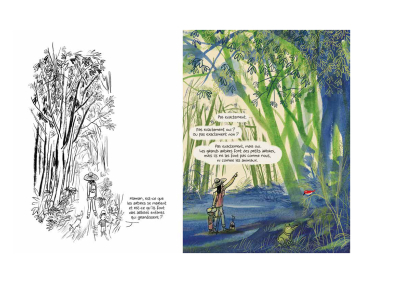 Comment naissent les arbres...