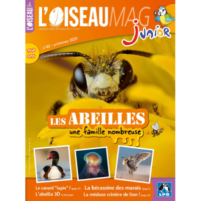 L'Oiseau Magazine Junior n°42