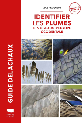 Identifier les plumes des oiseaux d'Europe occidentale