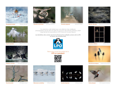 Calendrier LPO 2026 Oiseaux