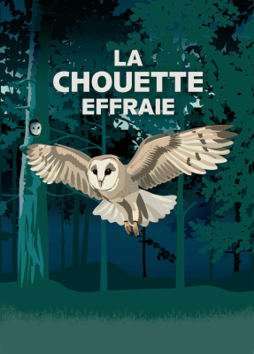 Carte postale LPO vintage Chouette effraie