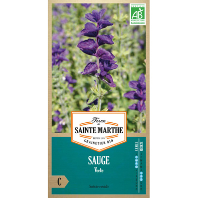 Graines Bio Sauge Verte