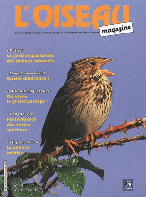 L'Oiseau Mag n° 40