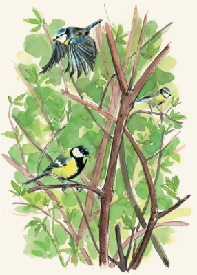 L'agenda du jardinier Bio 2026