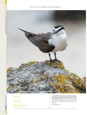 Ornithos n°172 - 3ème trim. 2025