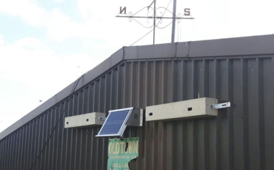 Nichoir Genesis Double entrée pour Martinets