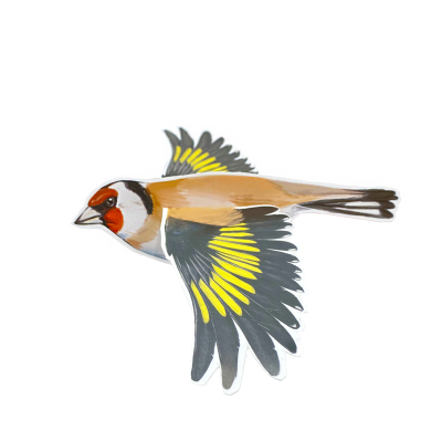 Lot de 4 mobiles Oiseaux n°2 - LPO x CPN