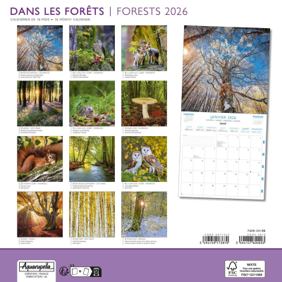 Calendrier 2026 Dans les forêts 30 x 30 cm