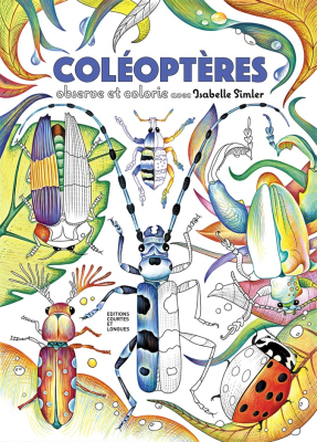 Coléoptères