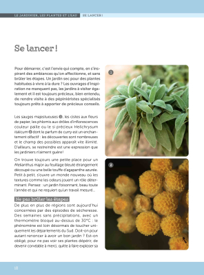 Un jardin sans arrosage ou presque