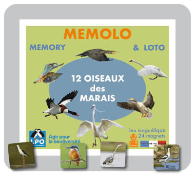 Memolo XL - 12 oiseaux des marais