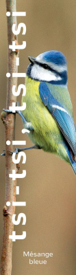 Marque-page LPO Chant Mésange bleue
