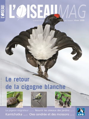 L'Oiseau Mag n° 97