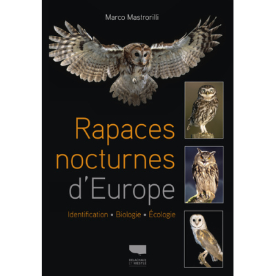 Rapaces nocturnes d'Europe