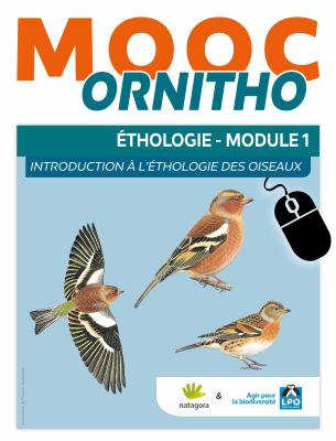 MOOC Ornitho Éthologie - Module 1 - Introduction à l'éthologie des oiseaux