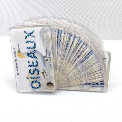 Guide de reconnaissance de la faune et de la flore - Les oiseaux de rivages