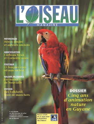 L'Oiseau Mag n° 48