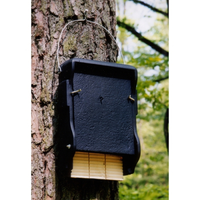 Gîte à chauve-souris Schwegler 1FF